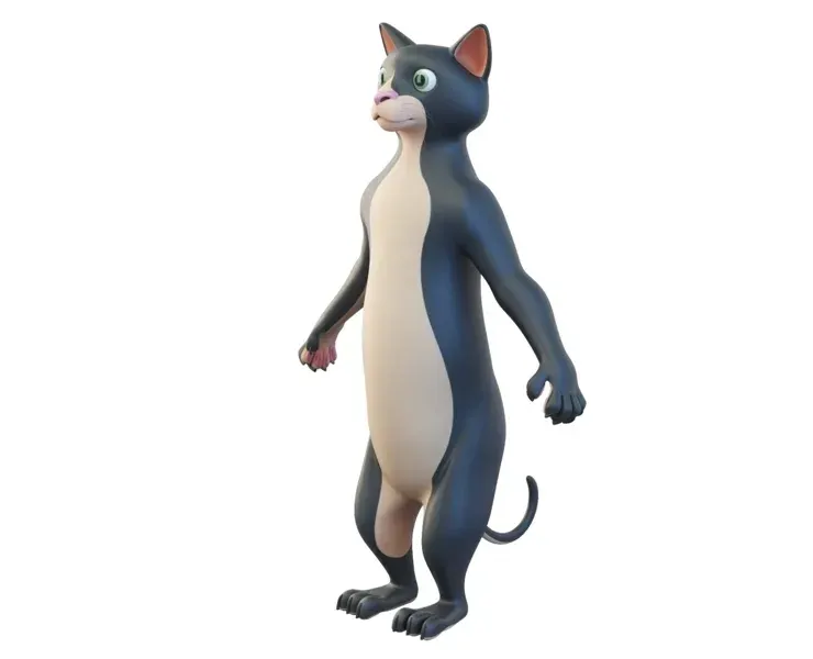 Cartoon Cat Character