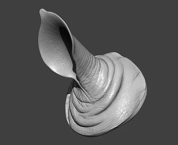 Rhino Ear Highpoly Sculpt