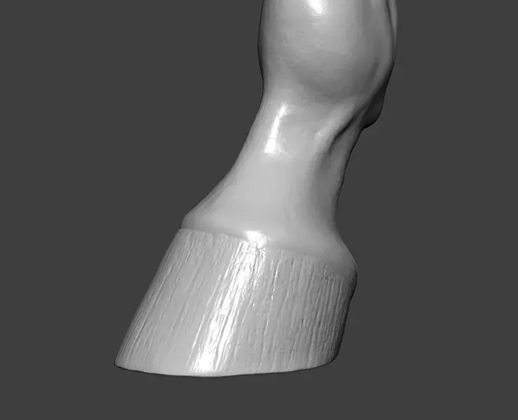 Horse Hoof Highpoly Sculpt