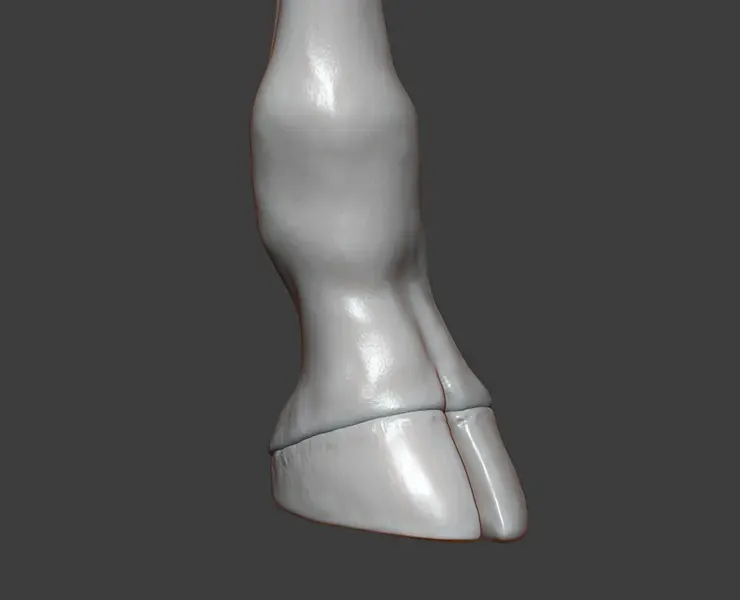 Giraffe Hoof Highpoly Sculpt