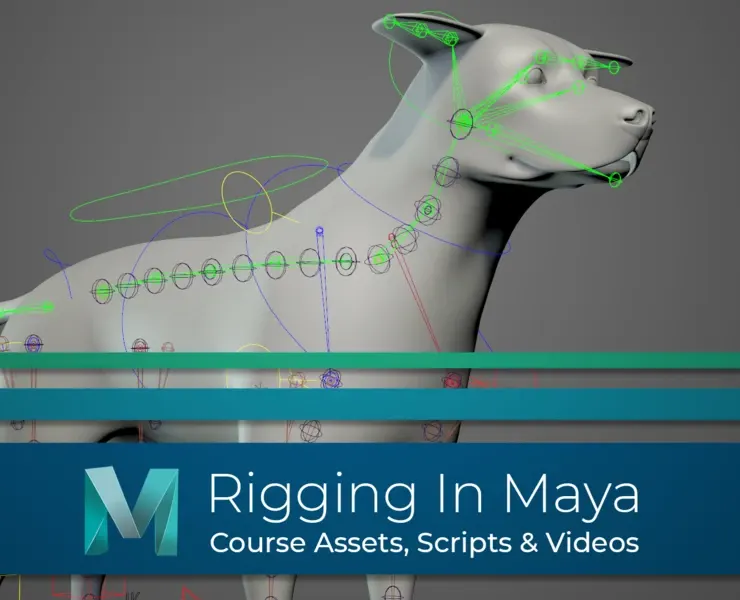 Rigging In Maya: Quadruped