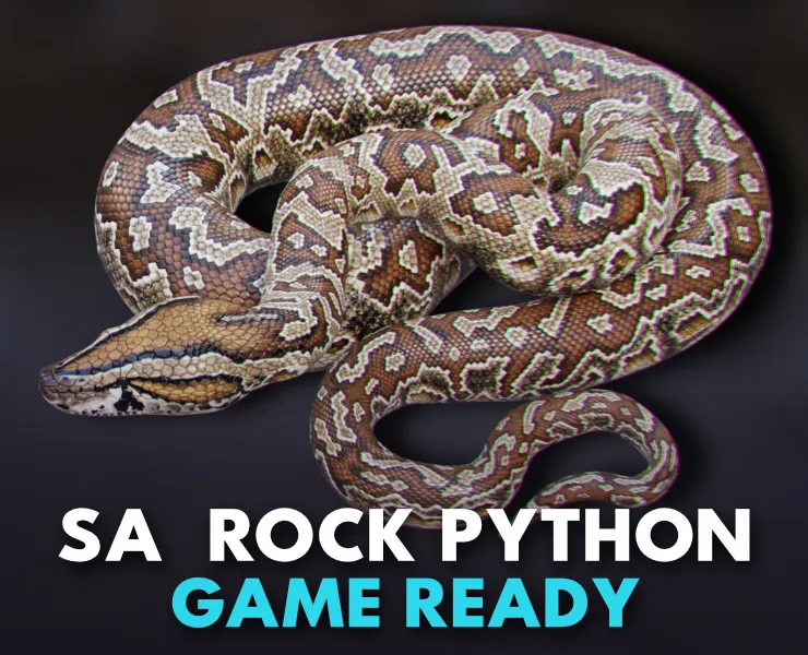 Southern African Rock Python - Animated