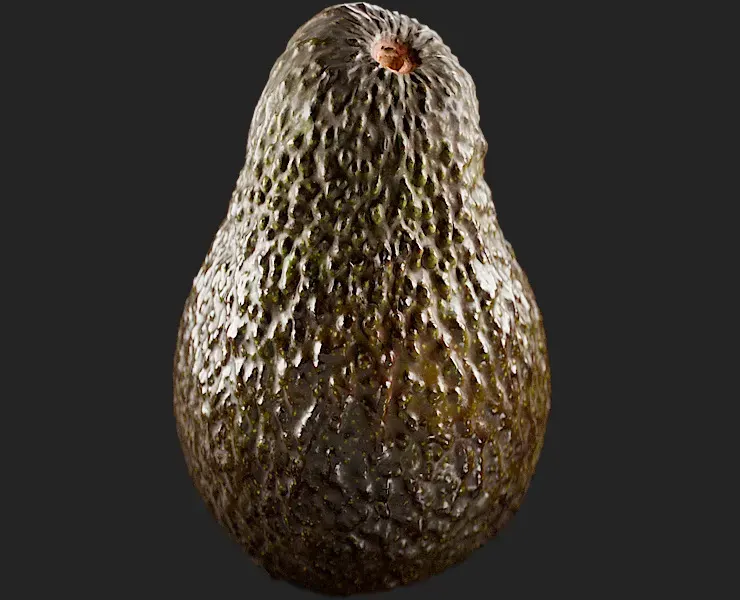 Avocado