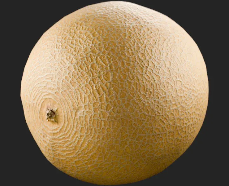 Galia Melon