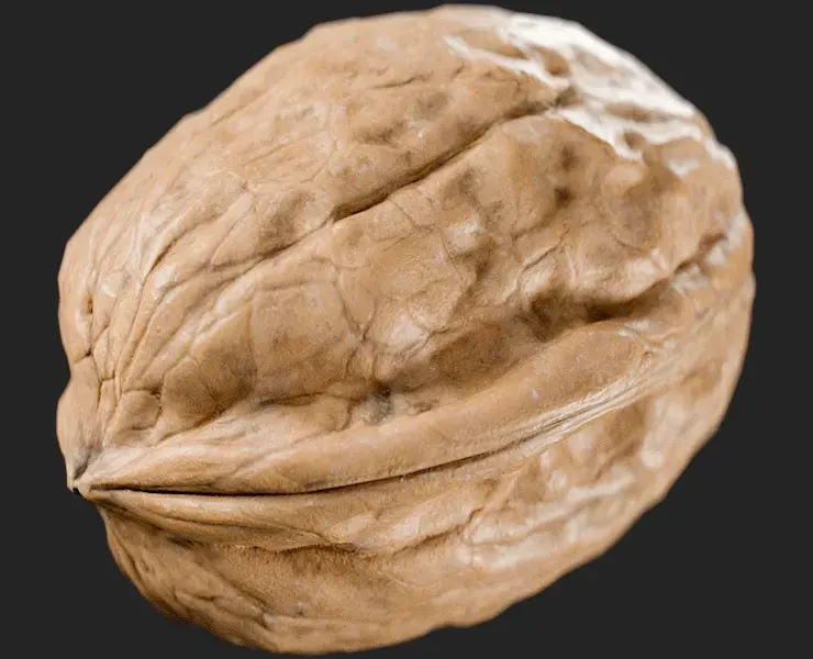 Walnut