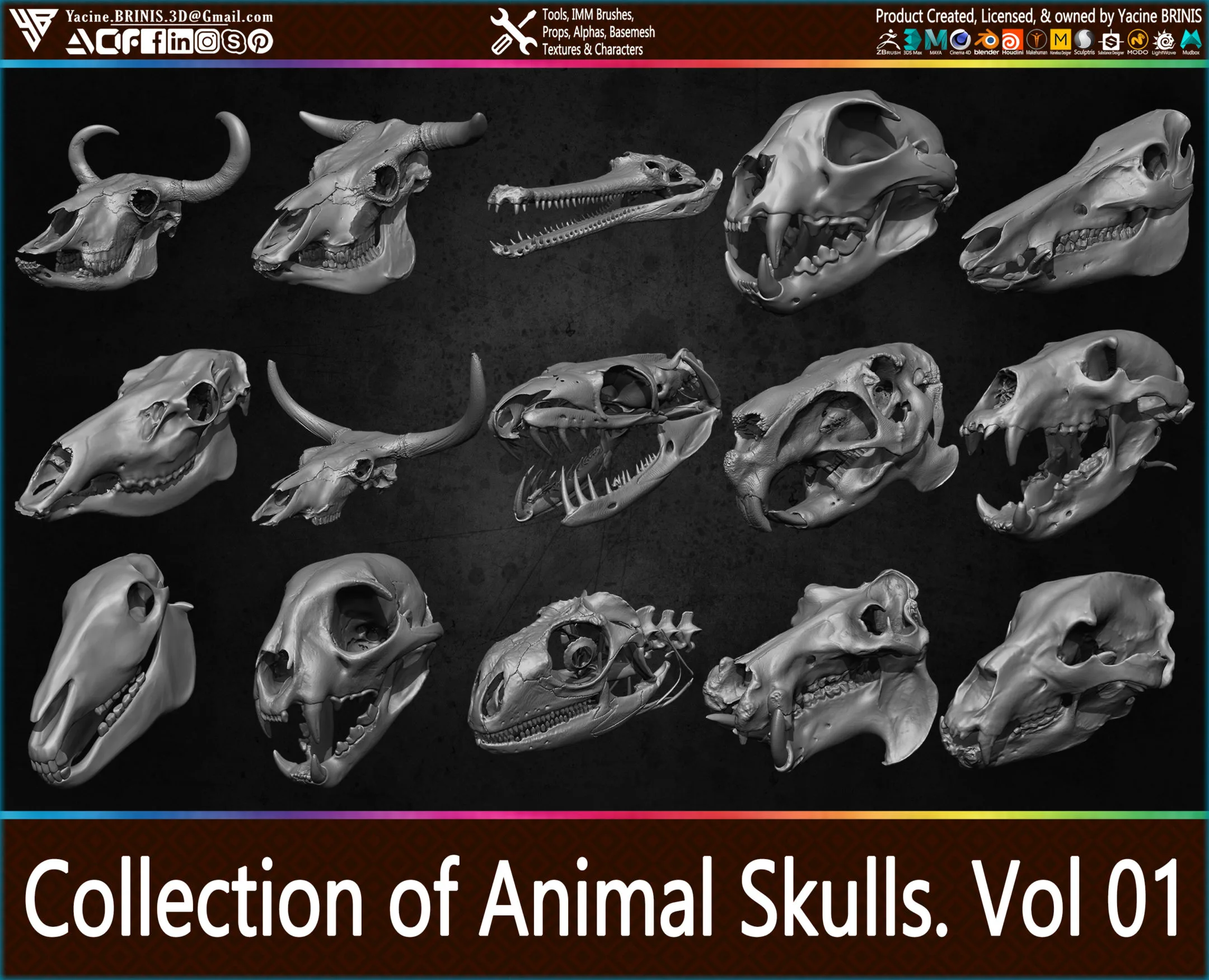 20 Animal Skulls Collection 01