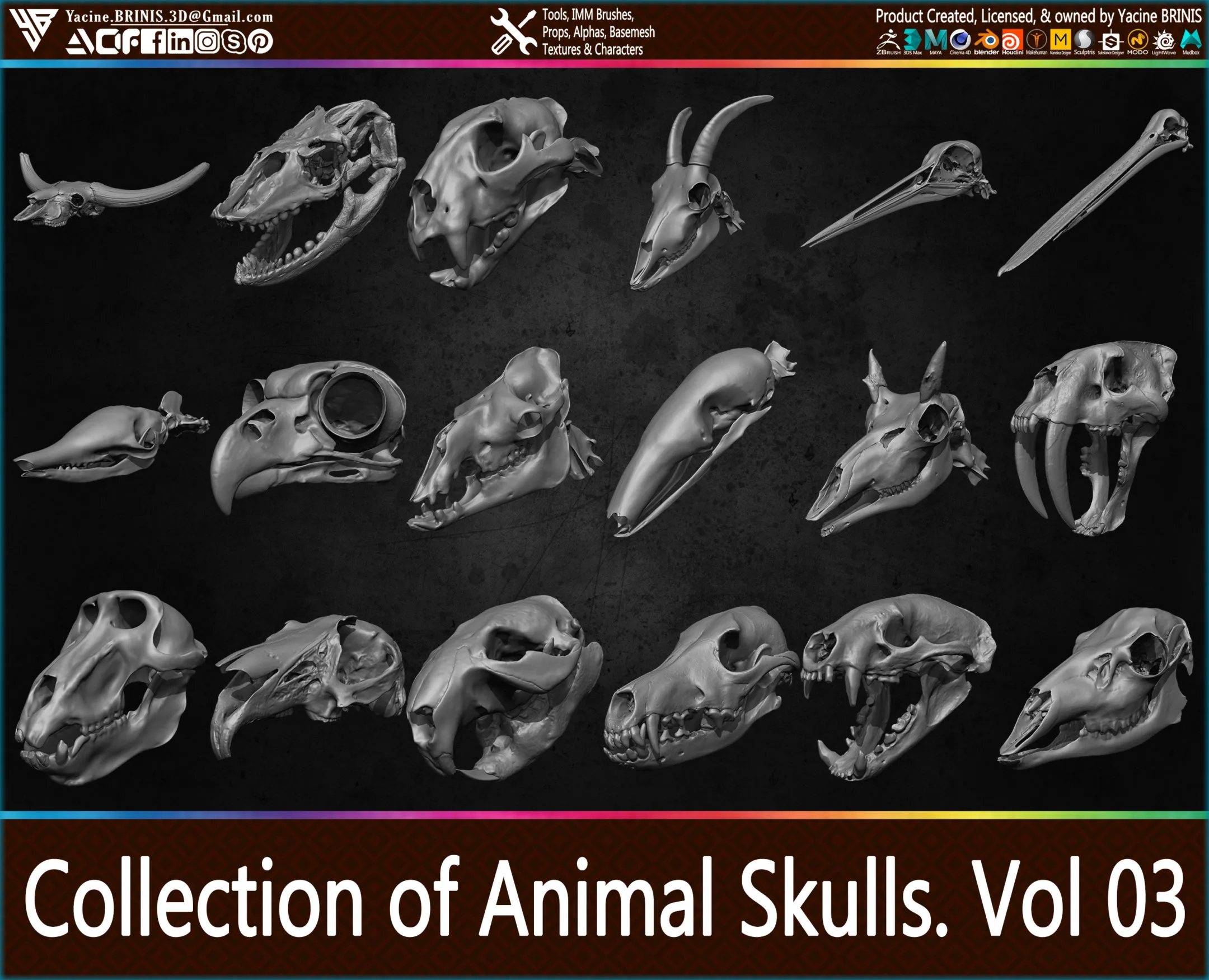 20 Animal Skulls Collection 03