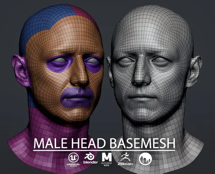 Male Head Basemesh