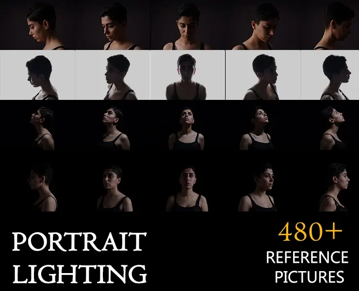 480+ Lighting portrait Reference pictures