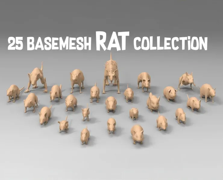 25 Basemesh rat collection