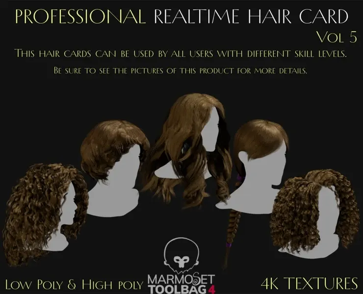 Professional Realtime Haircard Vol 5