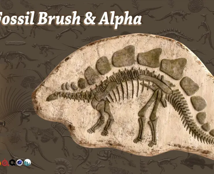 101 Fossil brush & alpha