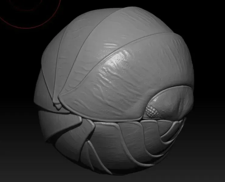 Roly Poly - Isopod Basemesh