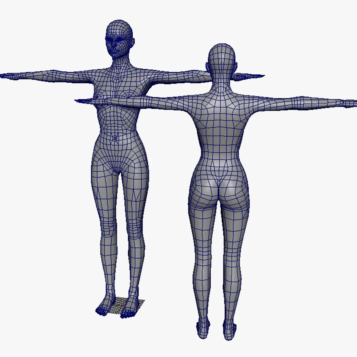 Female base mesh