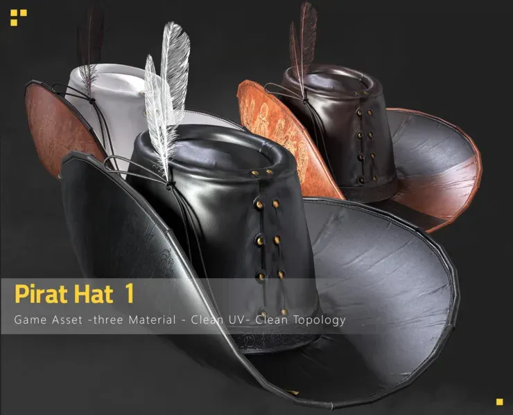 Pirate Hat 1 ( Game Asset )