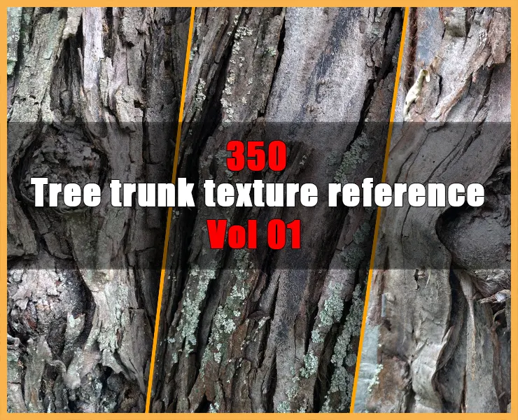Tree trunk texture reference - Vol 01