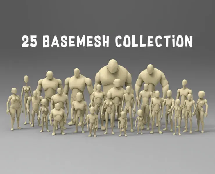 25 Basemesh collection