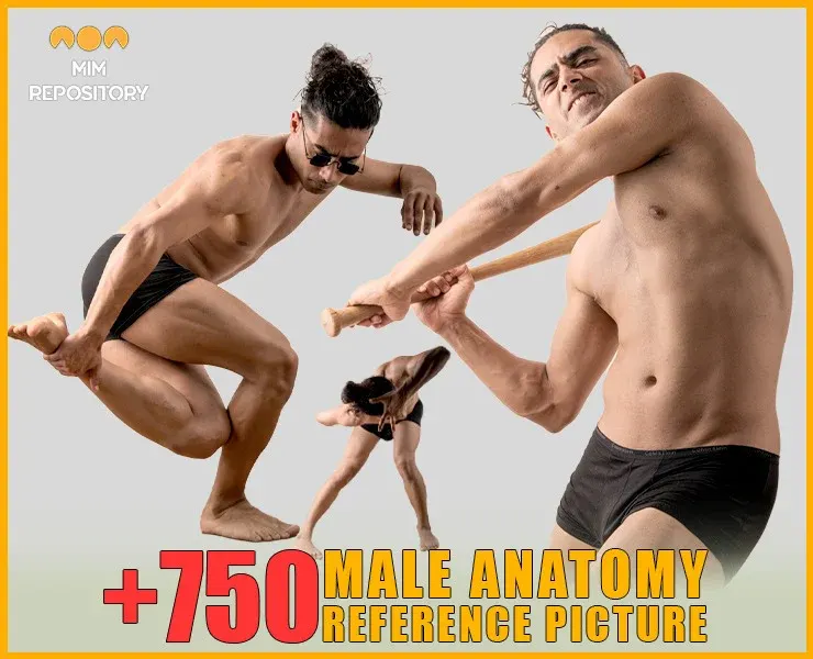 +750 Male Anatomy Reference Picture - VOL 02