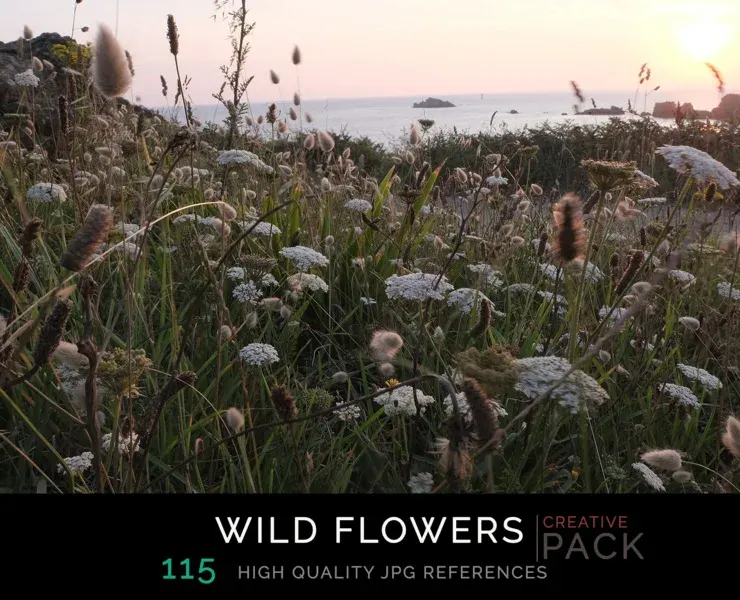 Wild Flowers CREATIVE PACK