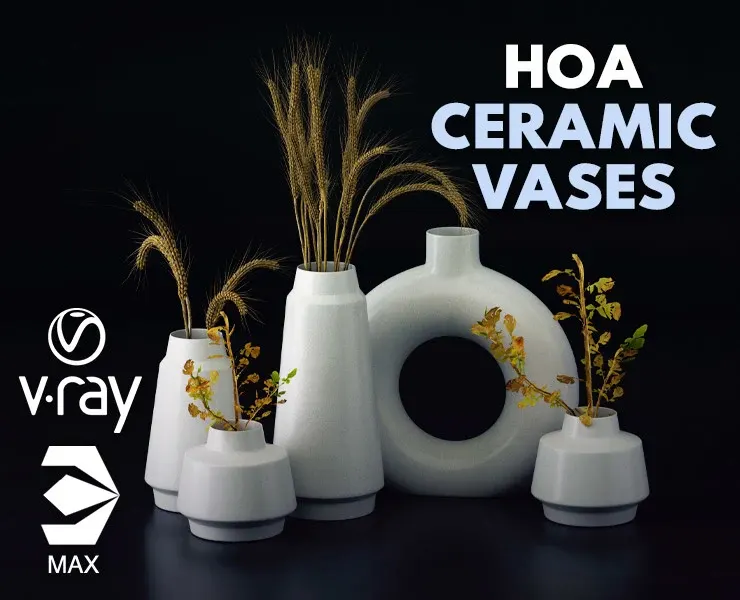 Hoa Ceramic Vases