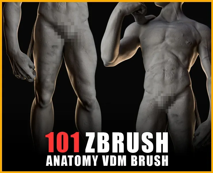 101 Anatomy VDM Brush - Body Parts and Muscles