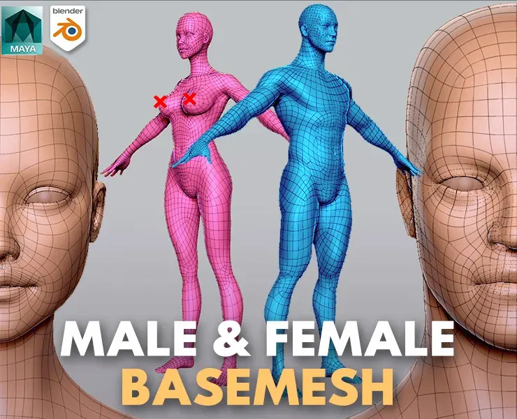 Male & Female BaseMesh  - Topology + UV Map