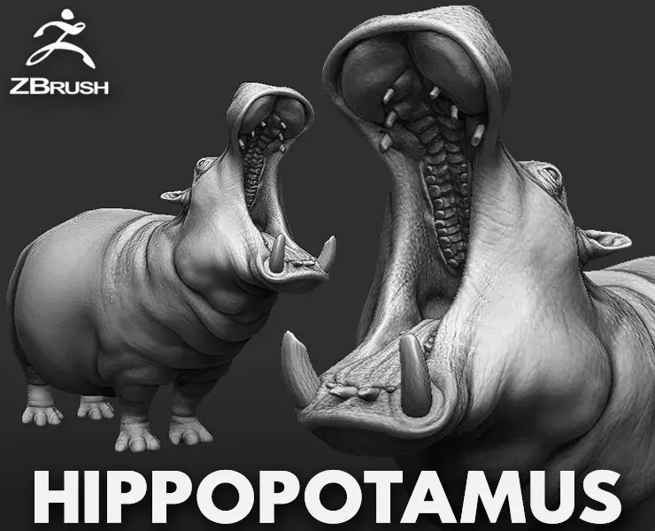 HIppopotamus - Topology + UV Map