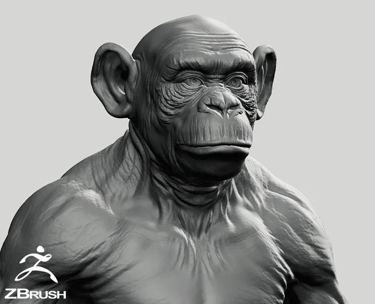 Chimpanzee - Topology + UV Map