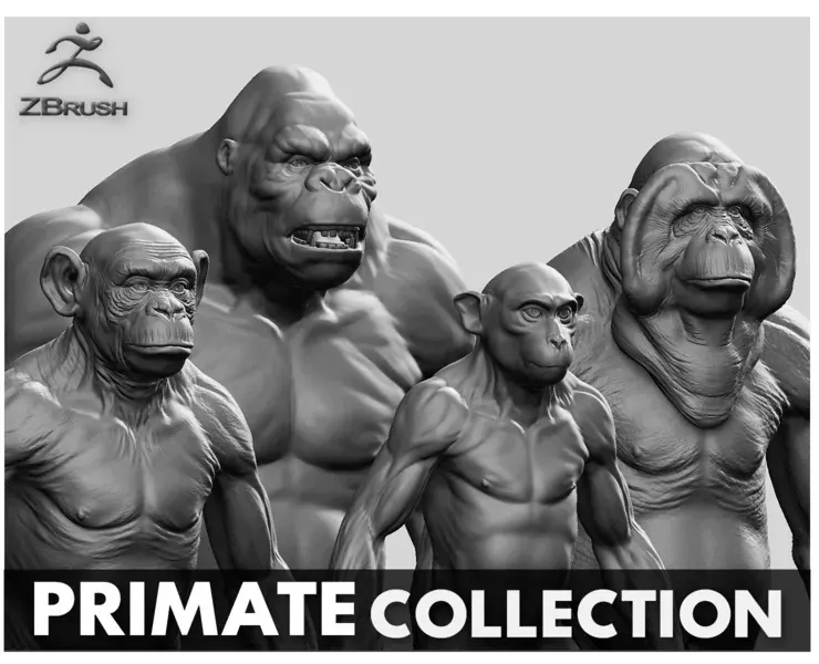 Primate Pack ( Monkey, Chimpanzee, Gorilla, Orangutan ) - Topology + UV Map