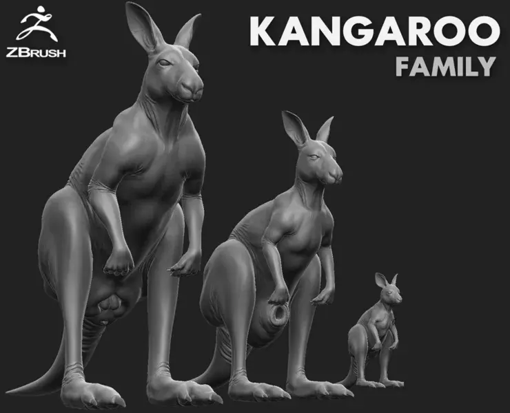 Kangaroo Family - Topology + UV Map