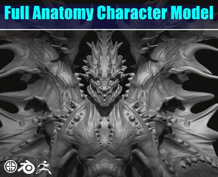 Full anatomy character model-character 3d model