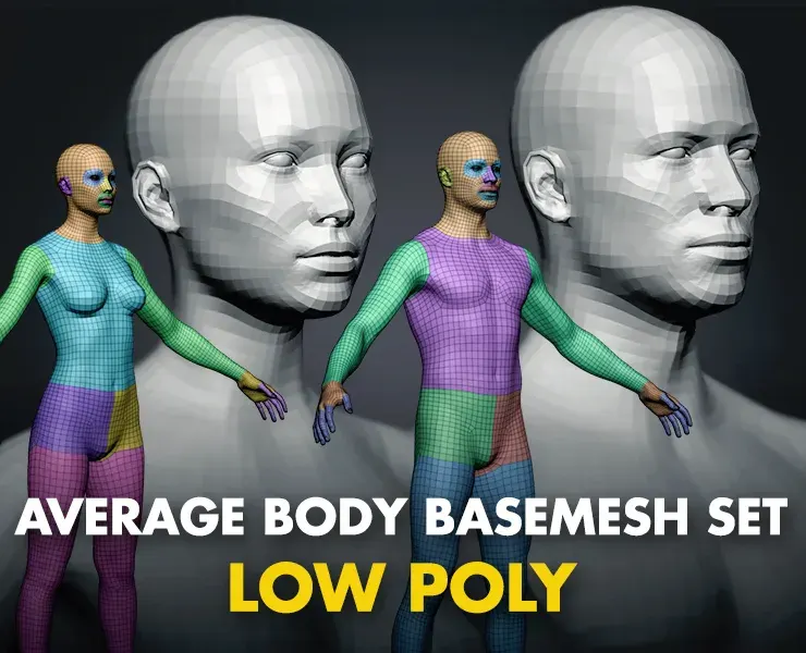 Average Body Lowpoly Basemesh Set