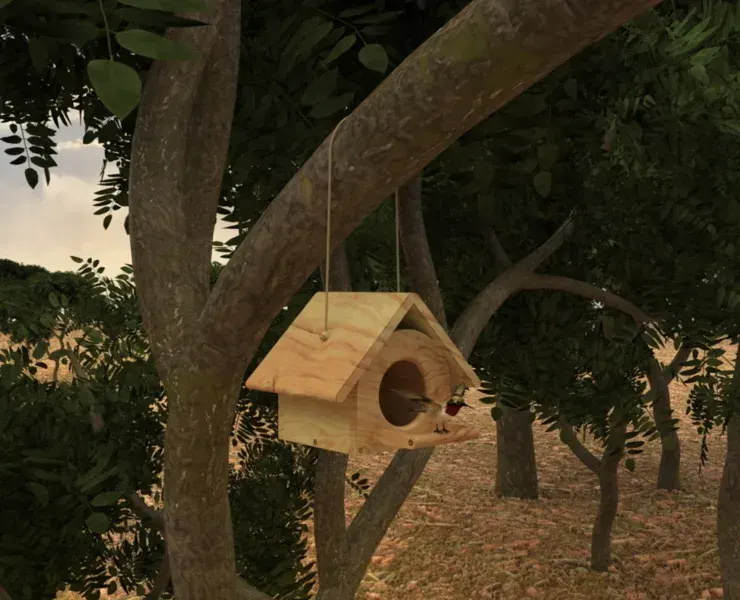 Bird House in Forest