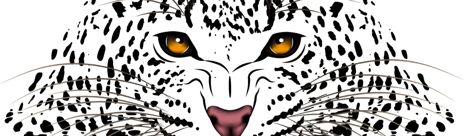 Creator store banner