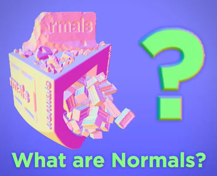 What are Normals?