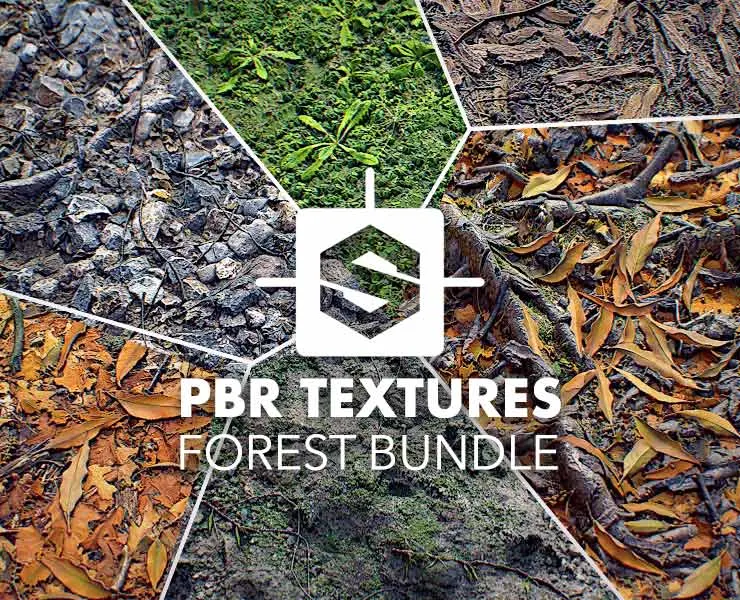 Seamless PBR Textures - Forest Bundle 2k