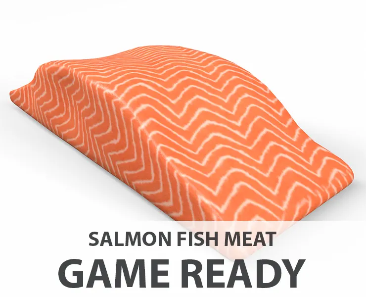 Salmon Fish Meat - Game Ready