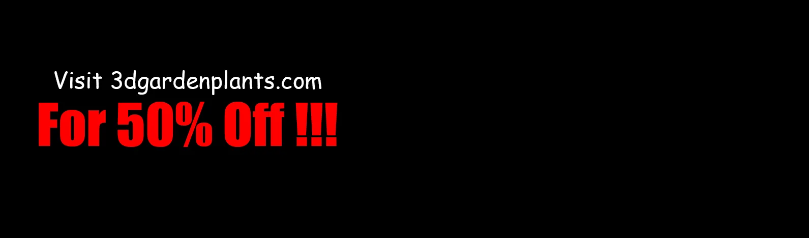 Creator store banner