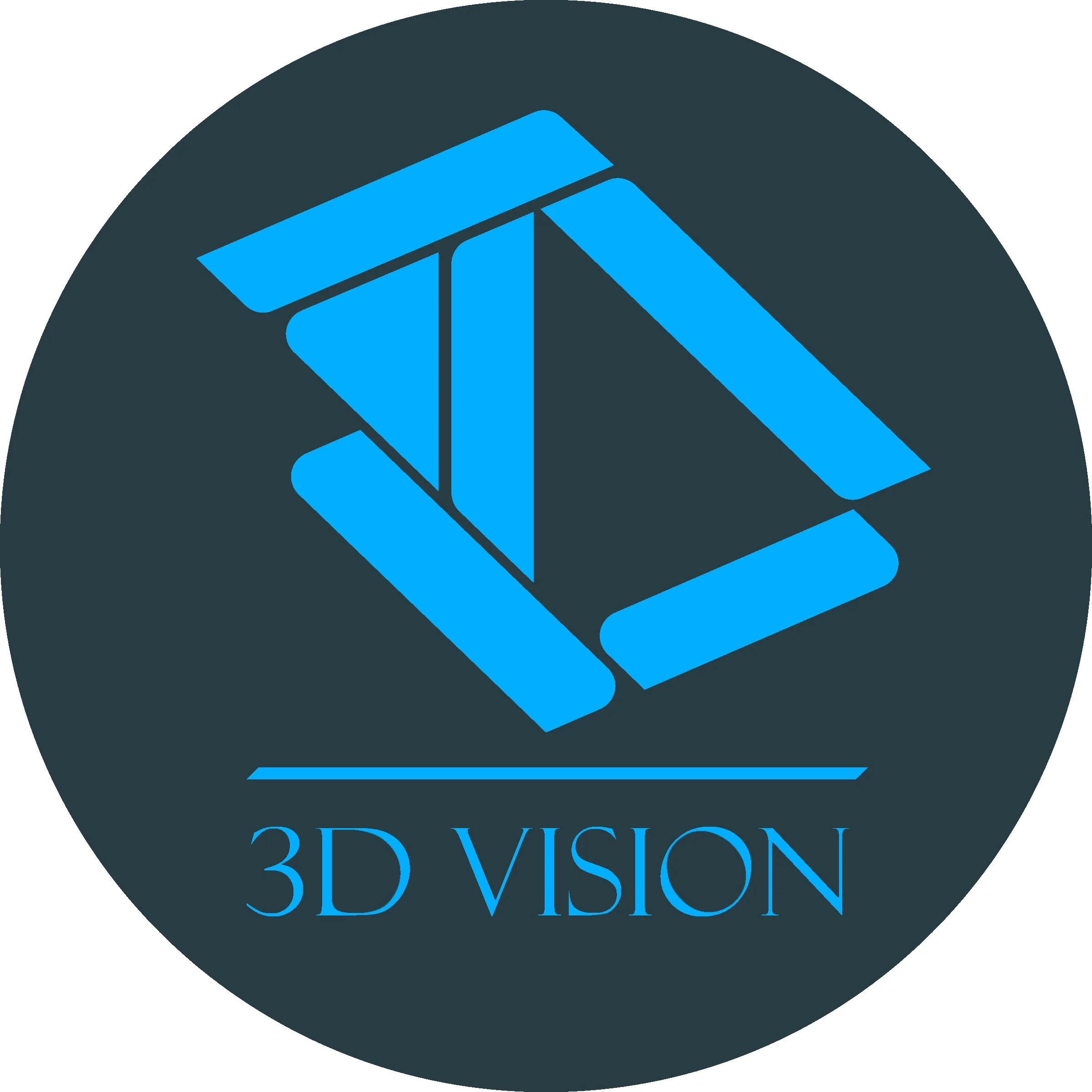 3d-vision 6