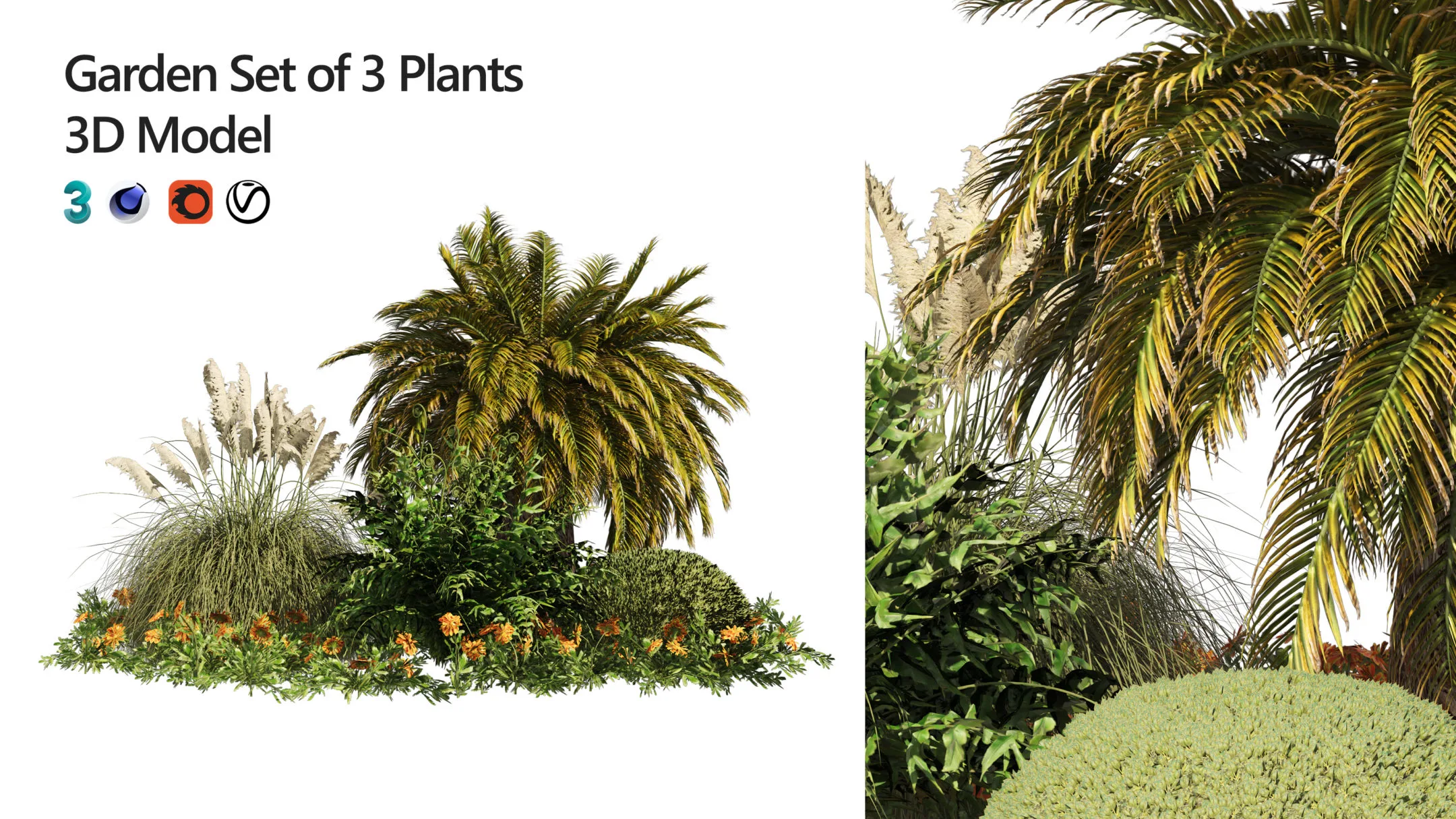 Outdoor Garden Set, Palm Tree, Bush and flowers