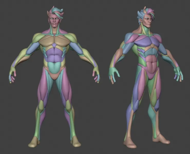 Stylized Warrior Anatomy Blckout