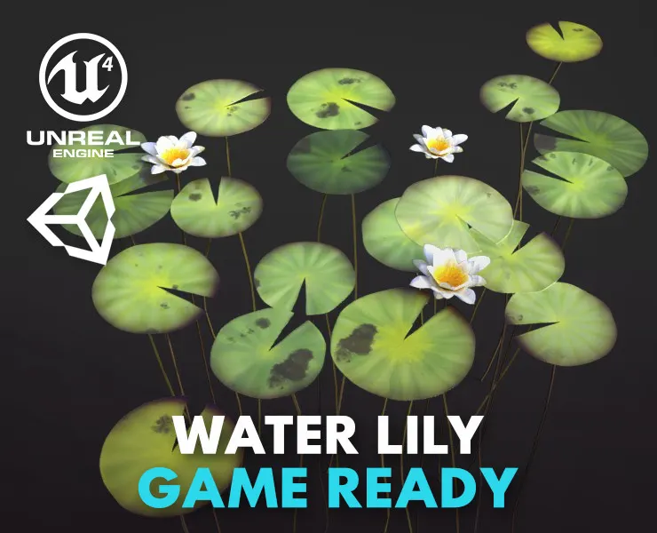 Water Lily Set