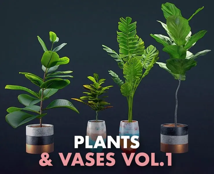 Plants & Vases Vol. 01