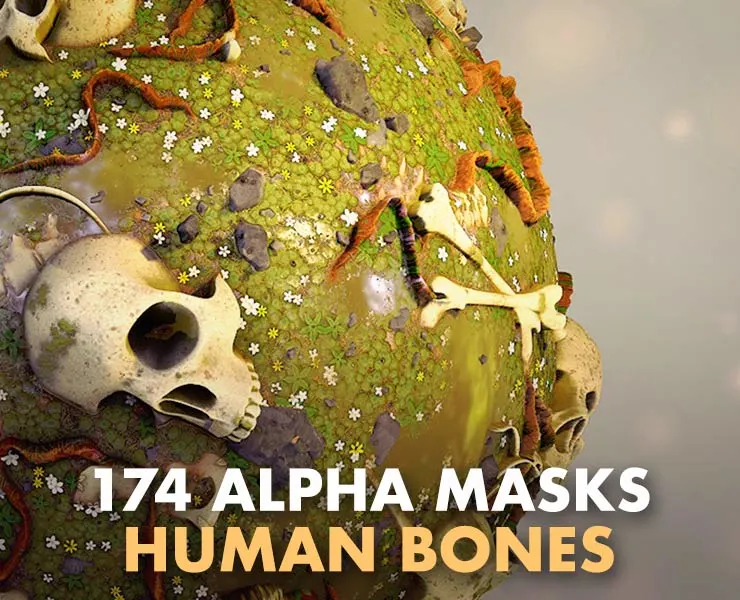 174 Alpha Masks of Human Bones