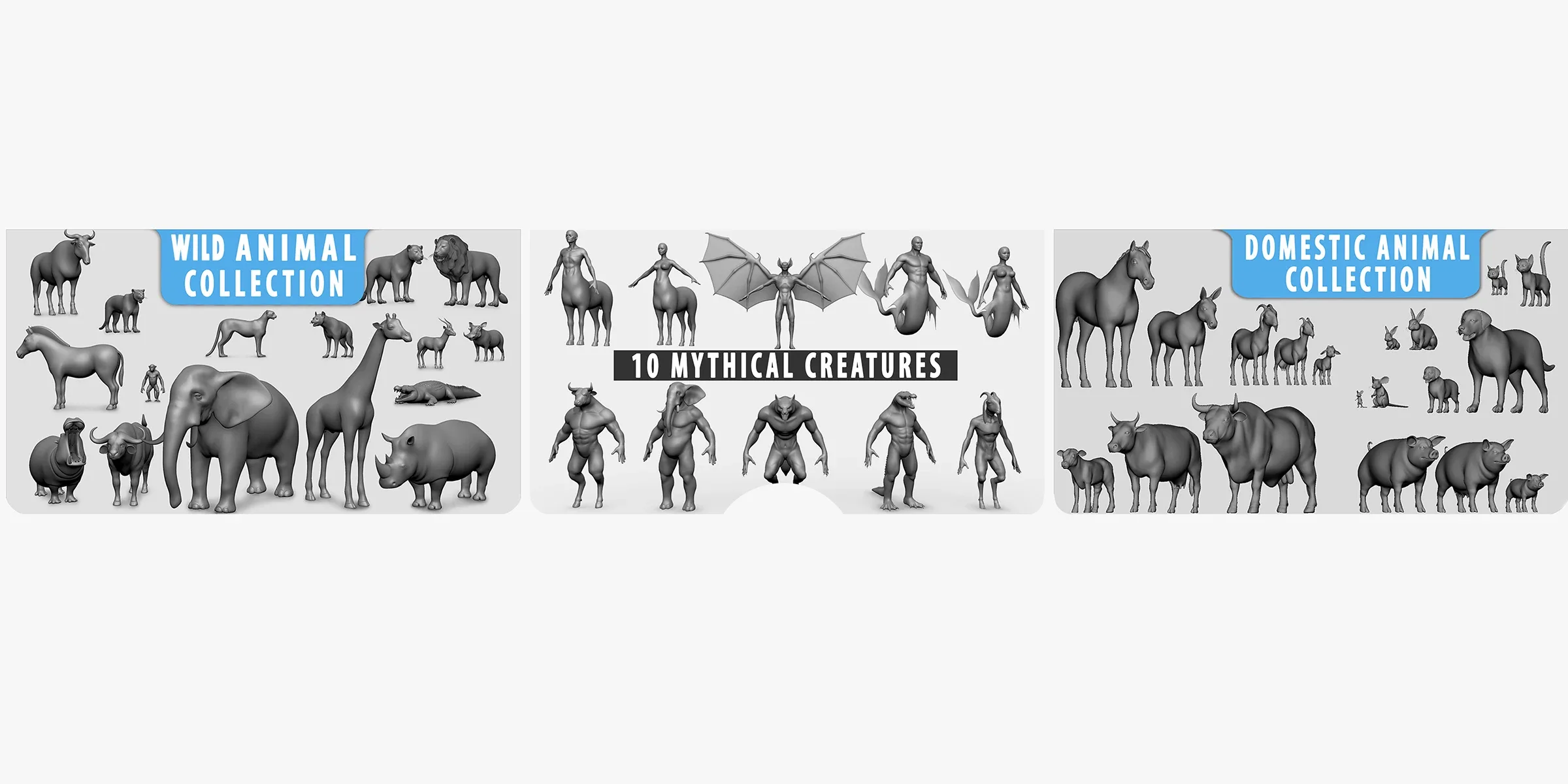 Creator store banner