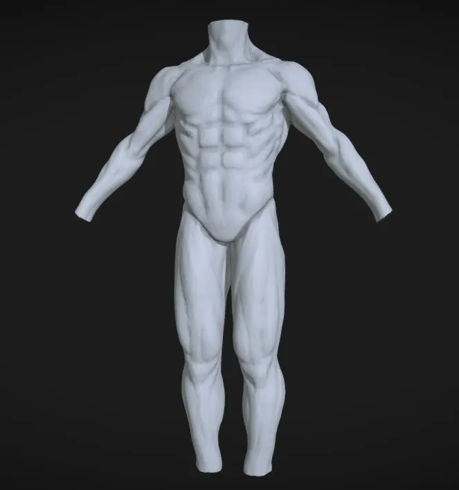 human body