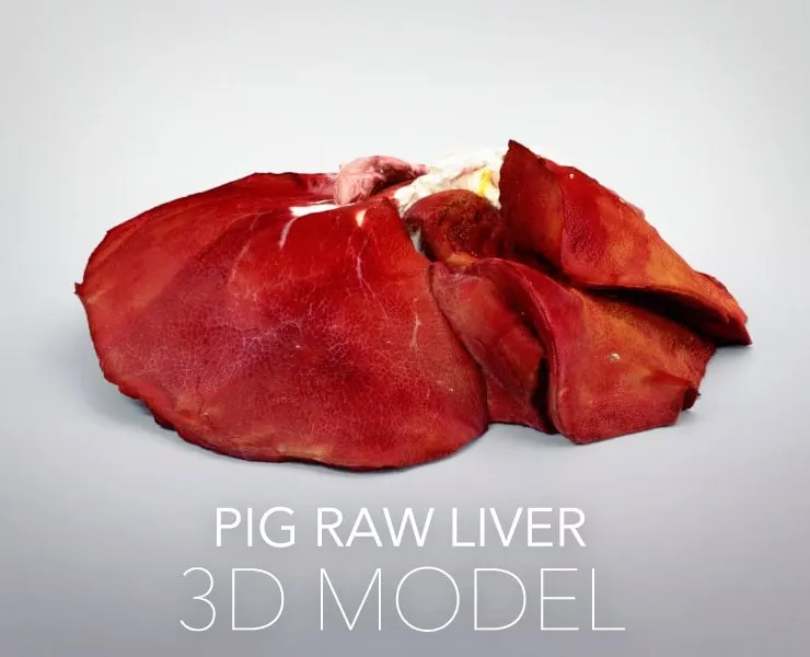 Pig Raw Liver