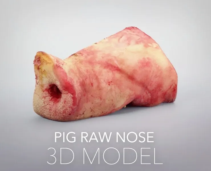 Pig Raw Nose Split in Half