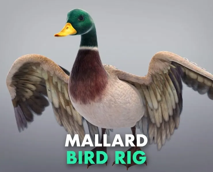 Mallard Bird Rig