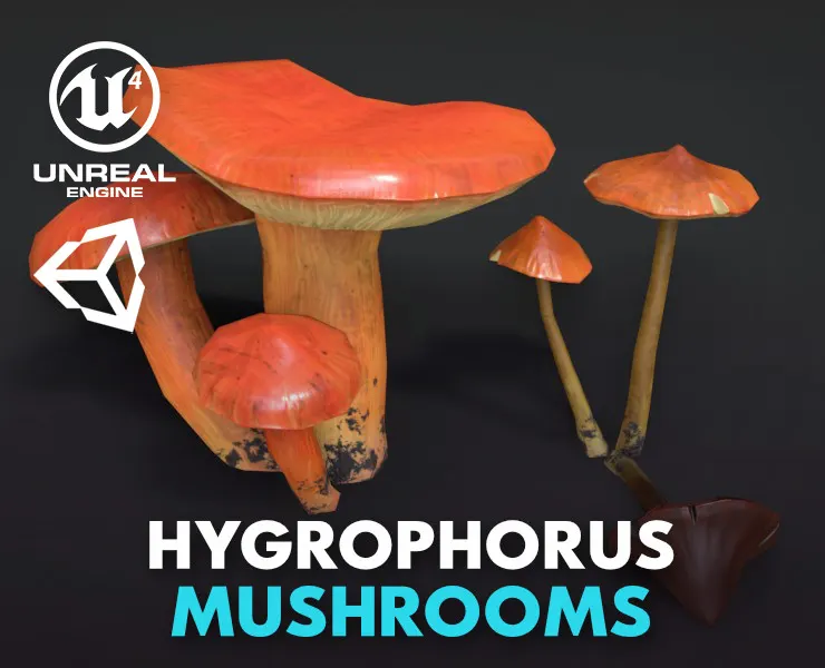 Crimson Waxcap and Witch Hat Mushrooms Set